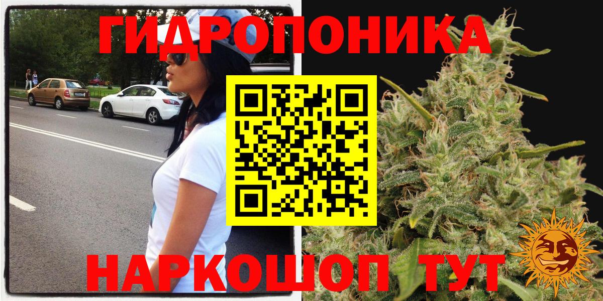 Бошки Шишки сатива Нурлат
